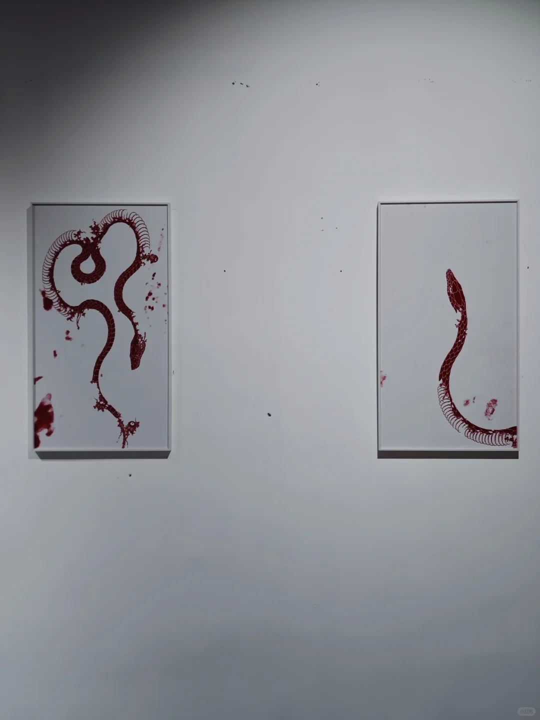 郑州新展|?蛇来运转2025