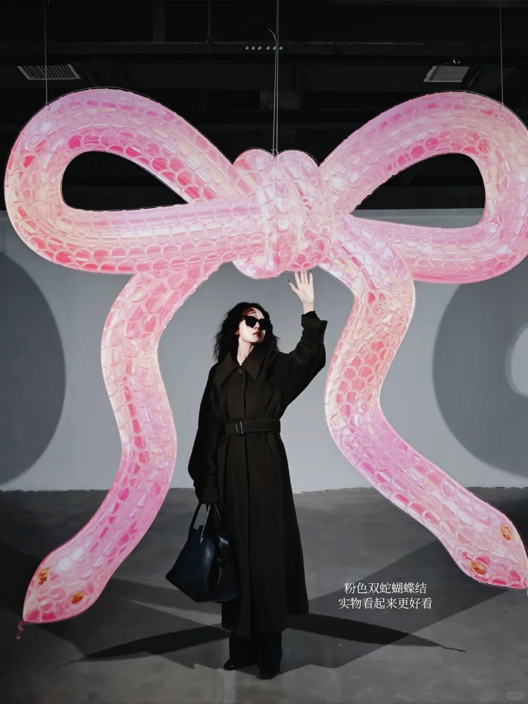 郑州新展|?蛇来运转2025