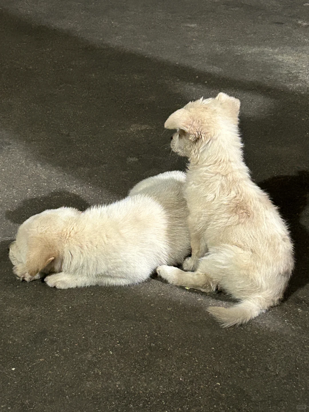 小白第一次参加展会，捞客户经验分享?