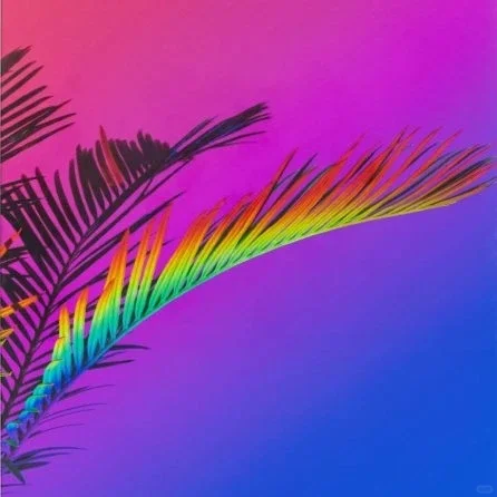 伦敦看展|London Art Fair 2025