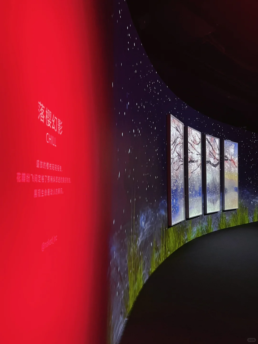 春节一定要去的北京展览！梦核光影（live太美