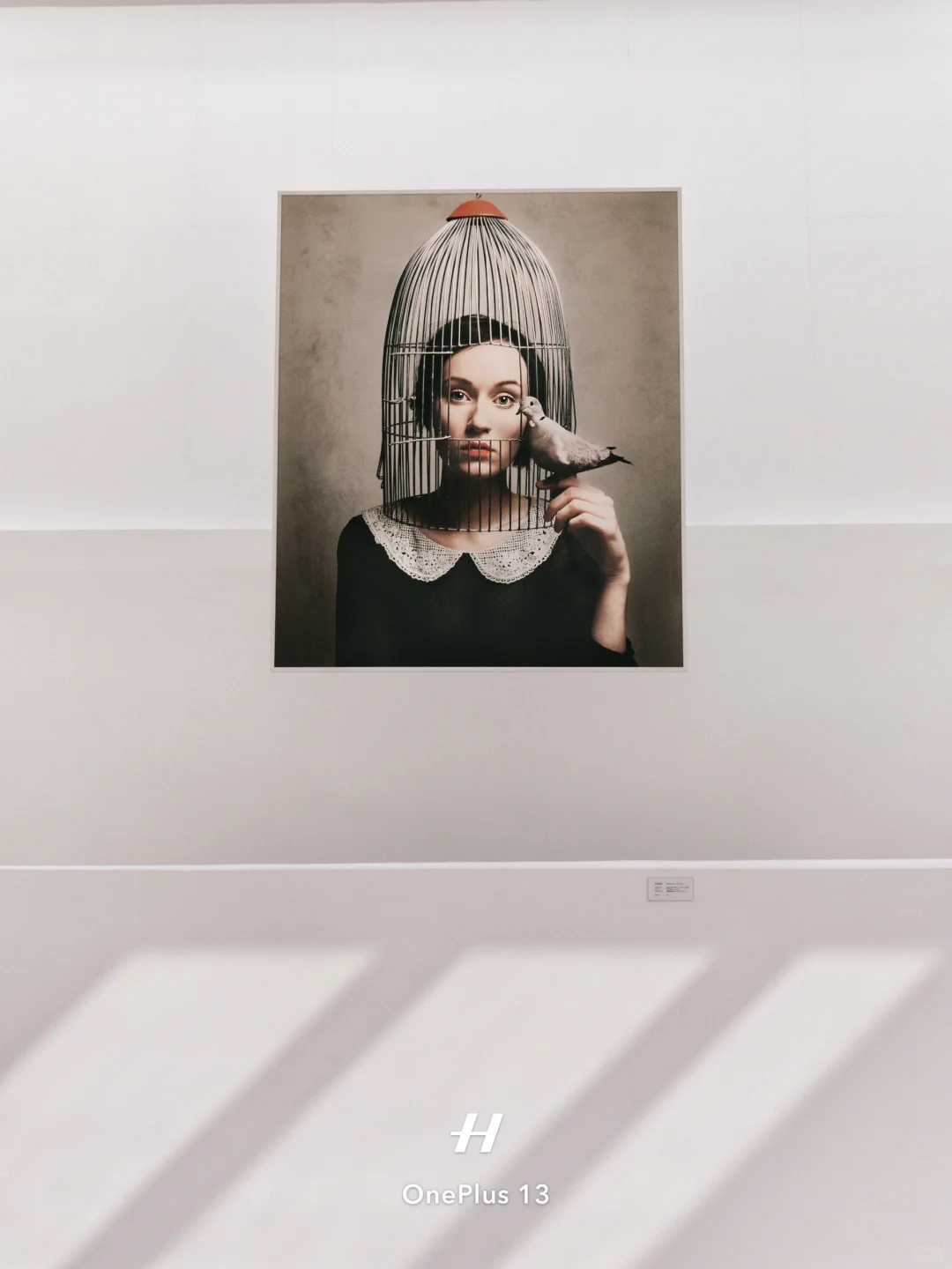 离开深圳前！最后再看个展！