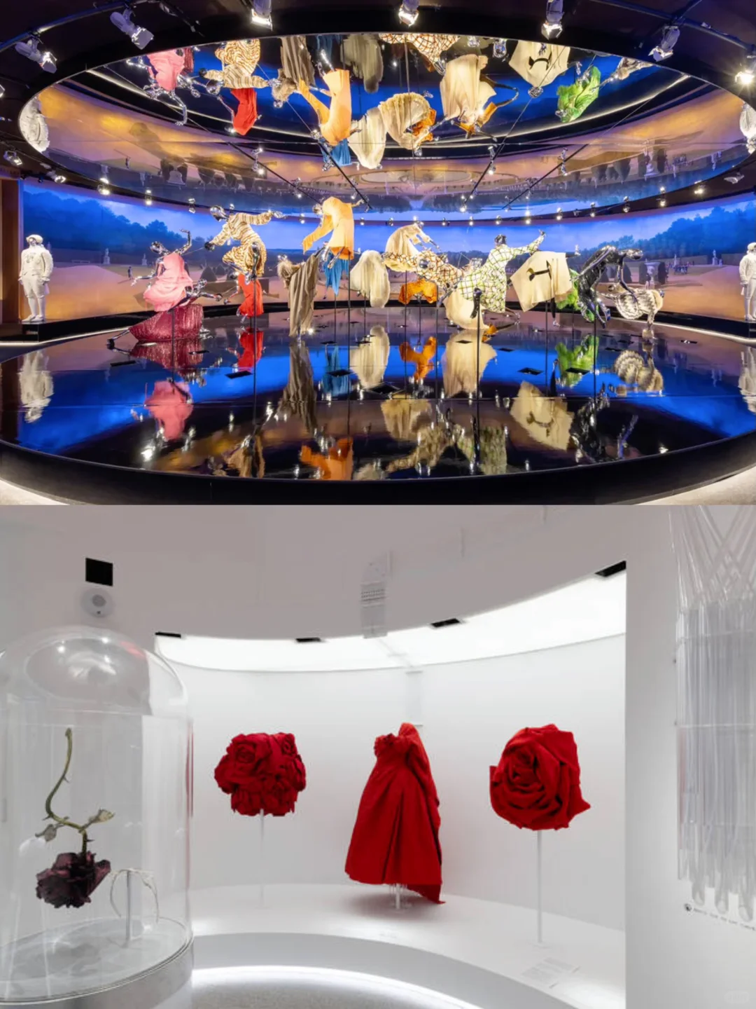 抢先揭秘大都会2025年必看艺术盛宴?