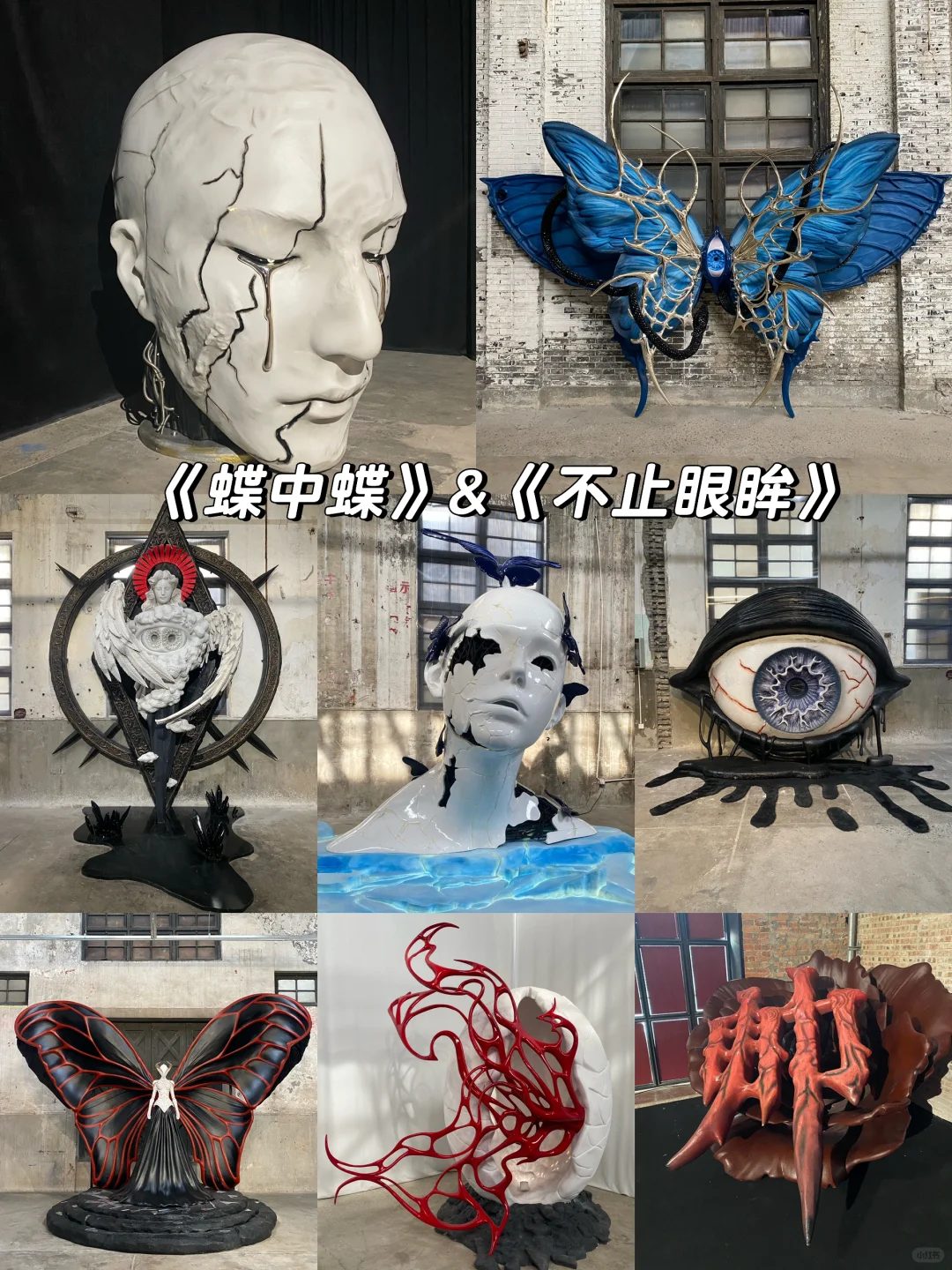 25年第一展｜《蝶中蝶》+《不止眼眸》