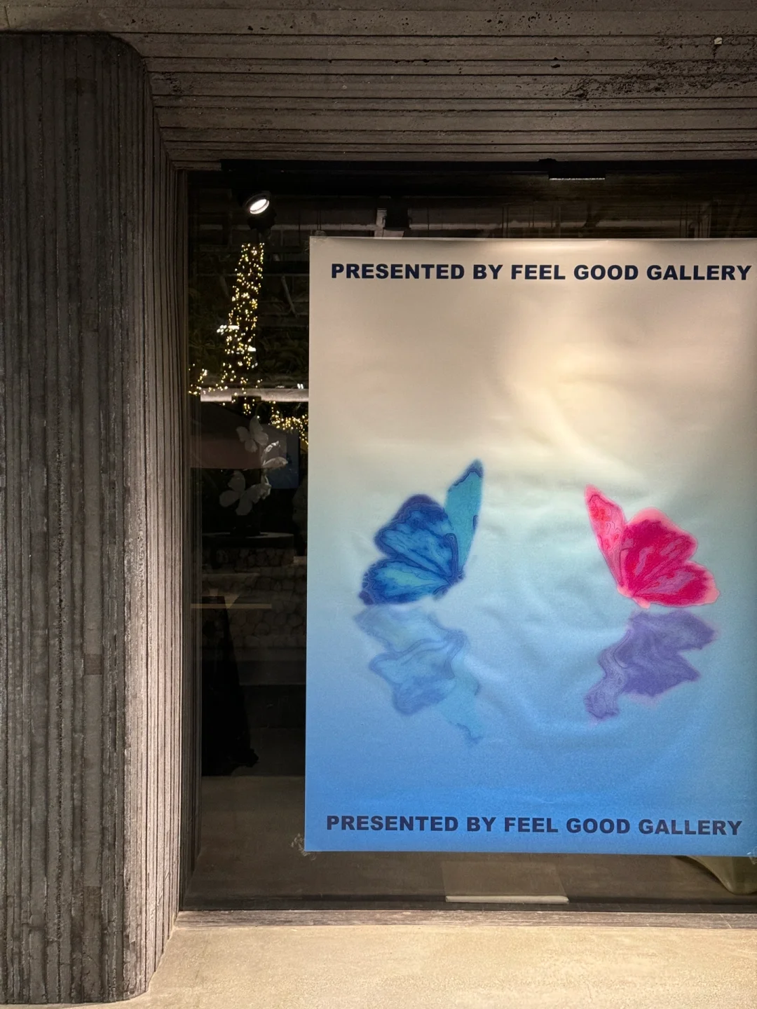 我的蝴蝶展来厦门啦！