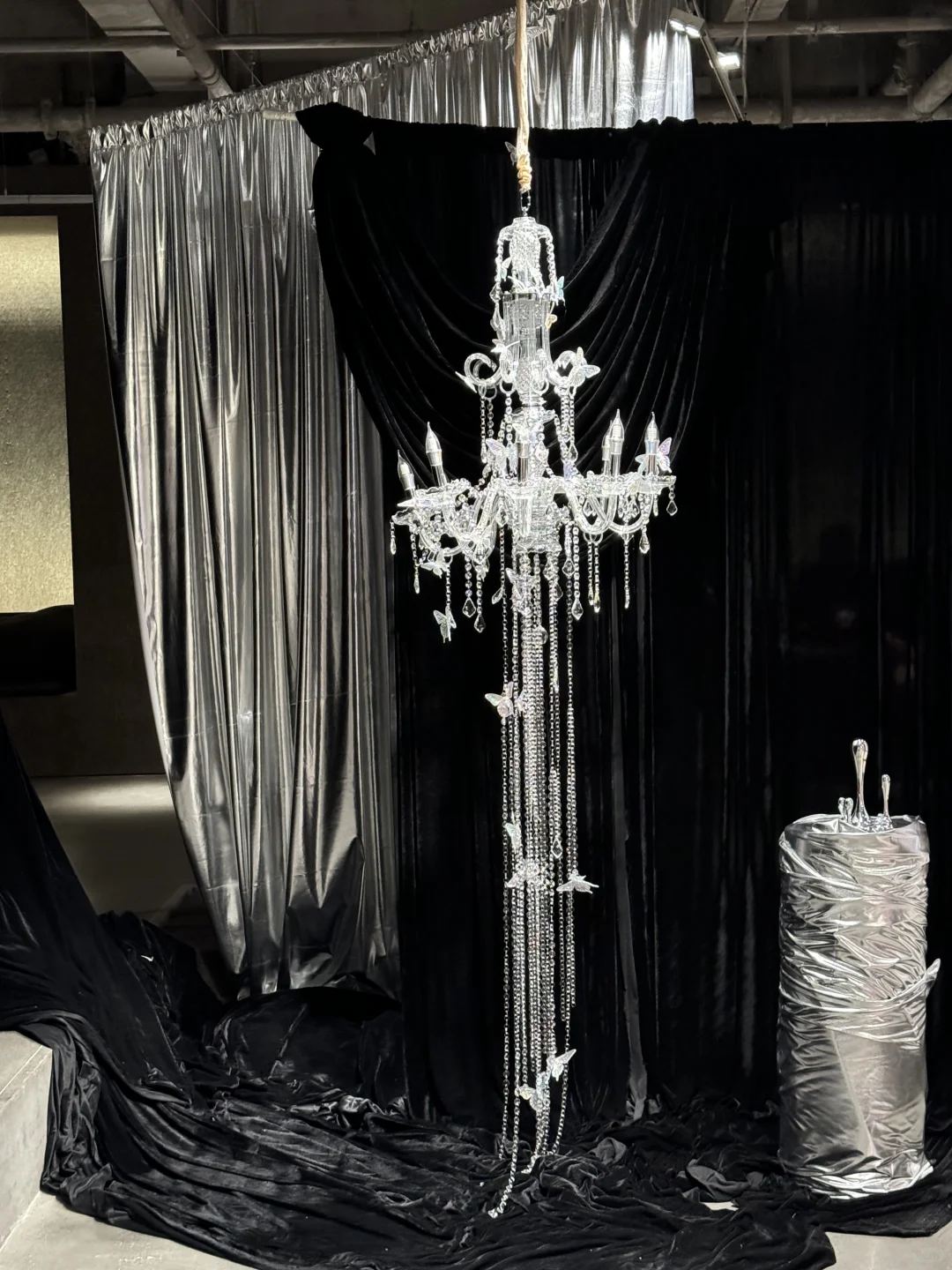 我的蝴蝶展来厦门啦！