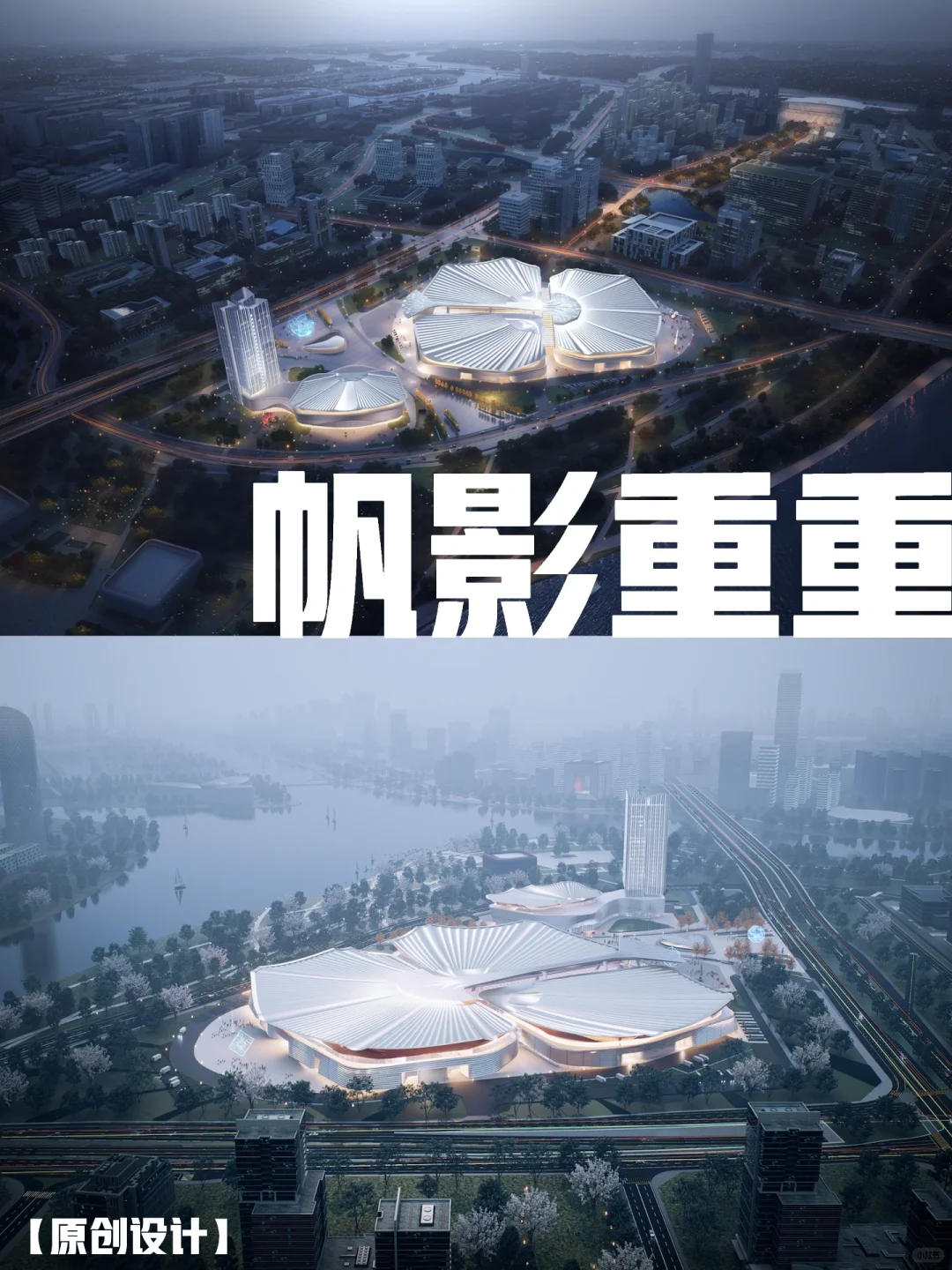 【中标】从来银杏不负秋,又是一年叶黄时！