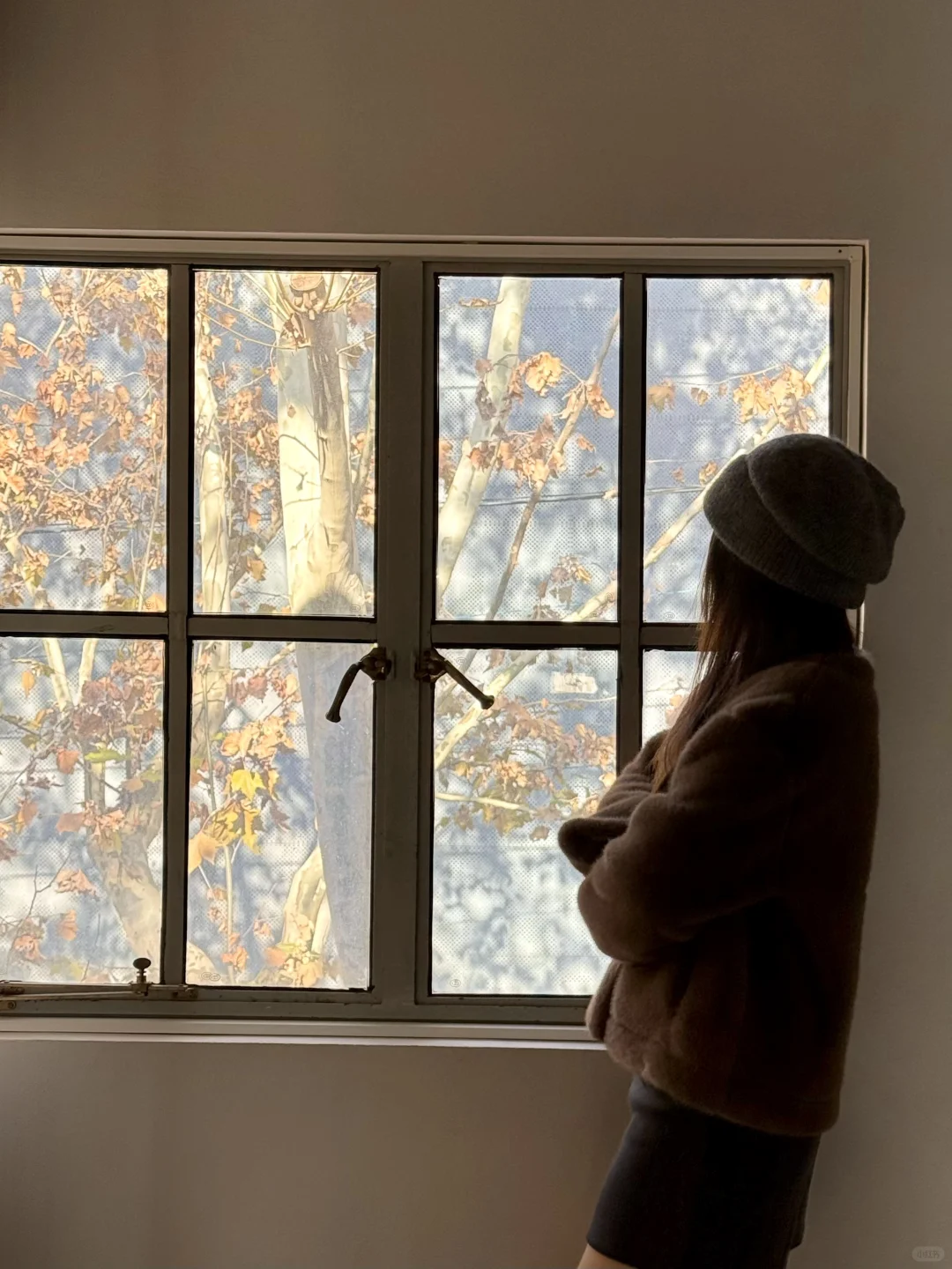 上海免费新展！被浪漫星空包围下……✨✨