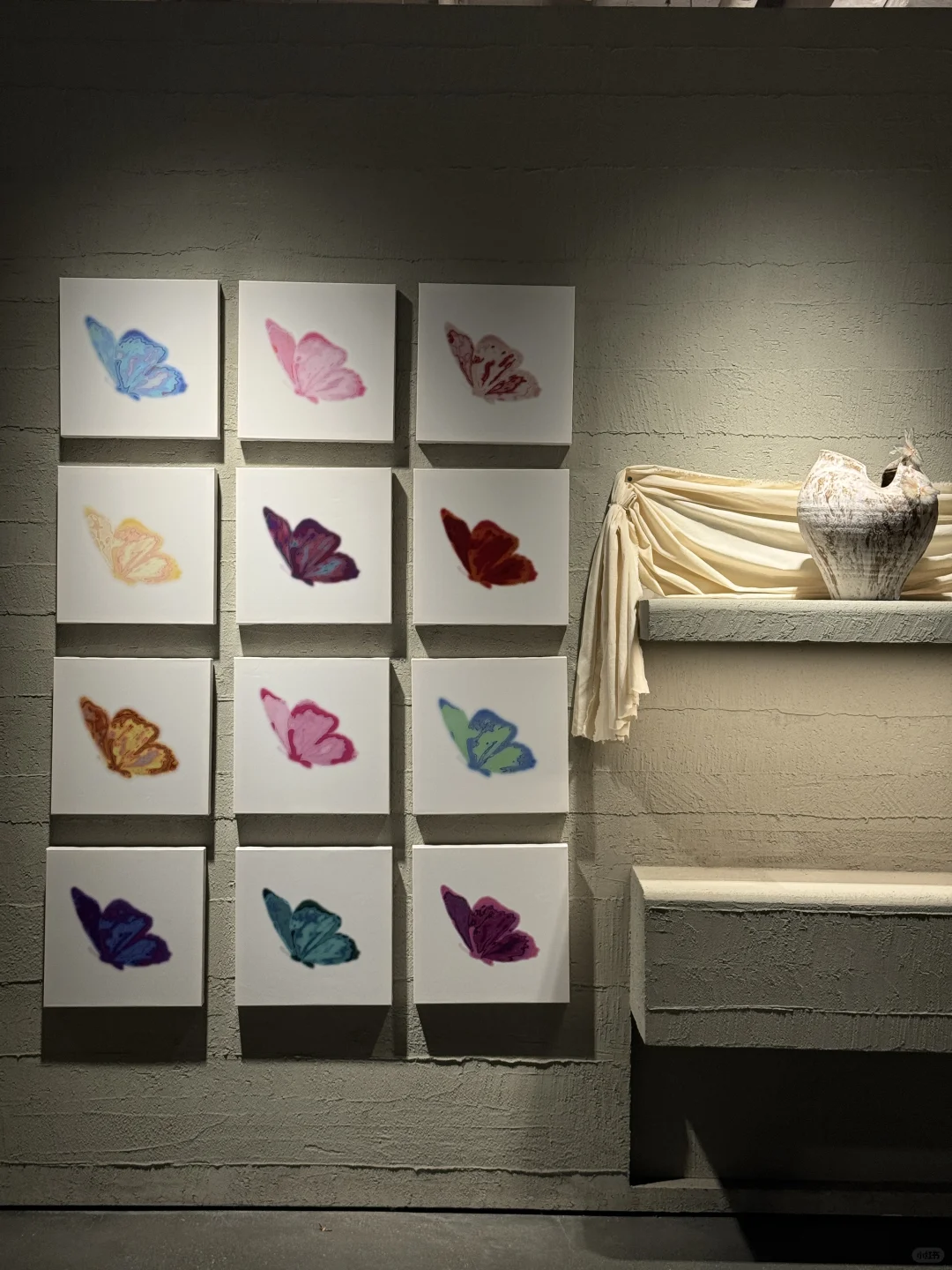 我的蝴蝶展来厦门啦！