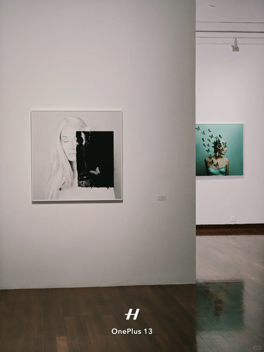 离开深圳前！最后再看个展！