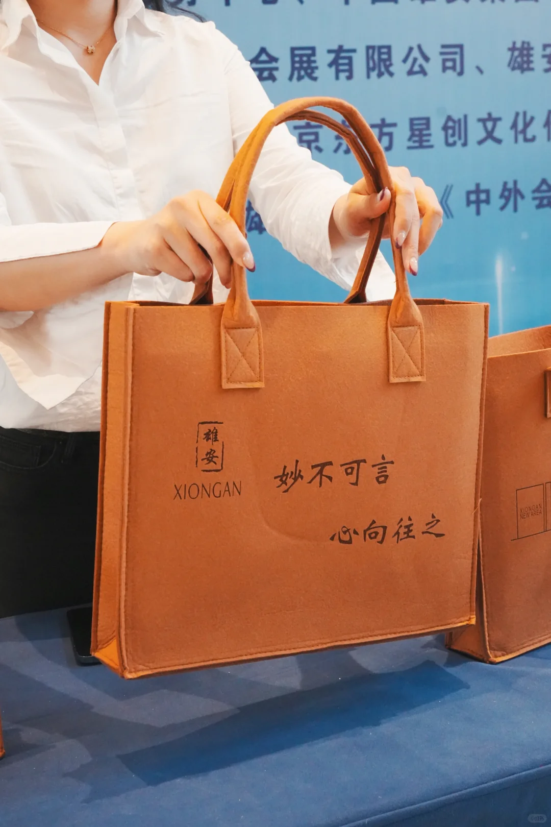 2024行业商协会雄安行暨会展推介会