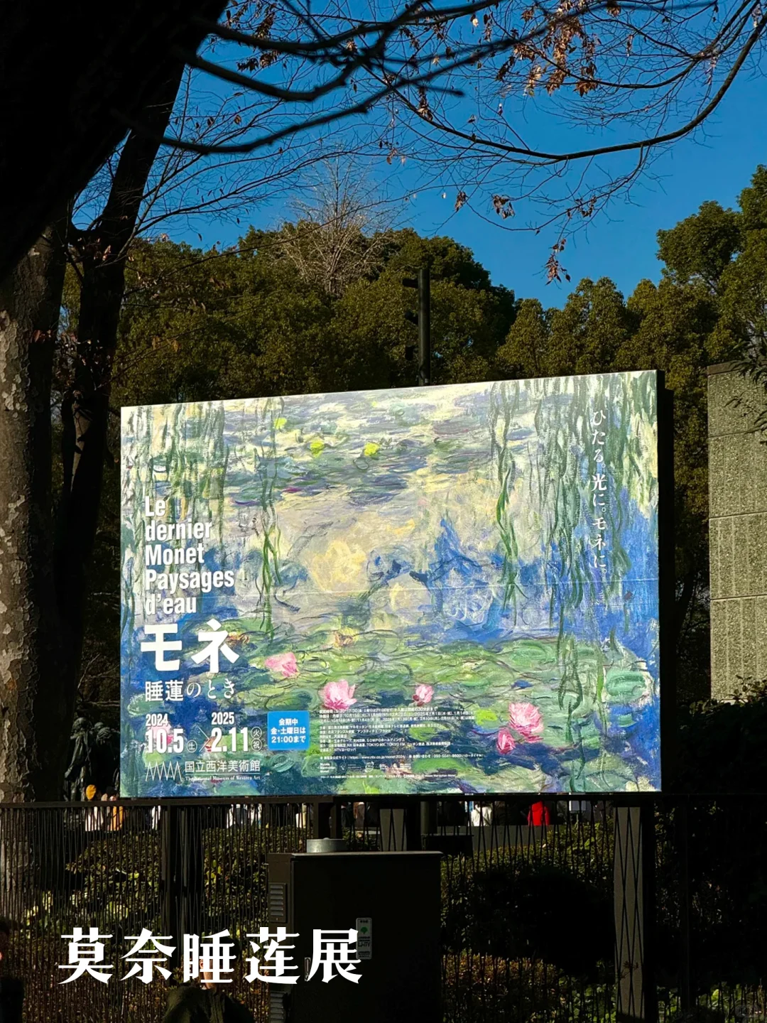 年后必冲！日本艺术展，开启新年视觉盛宴！