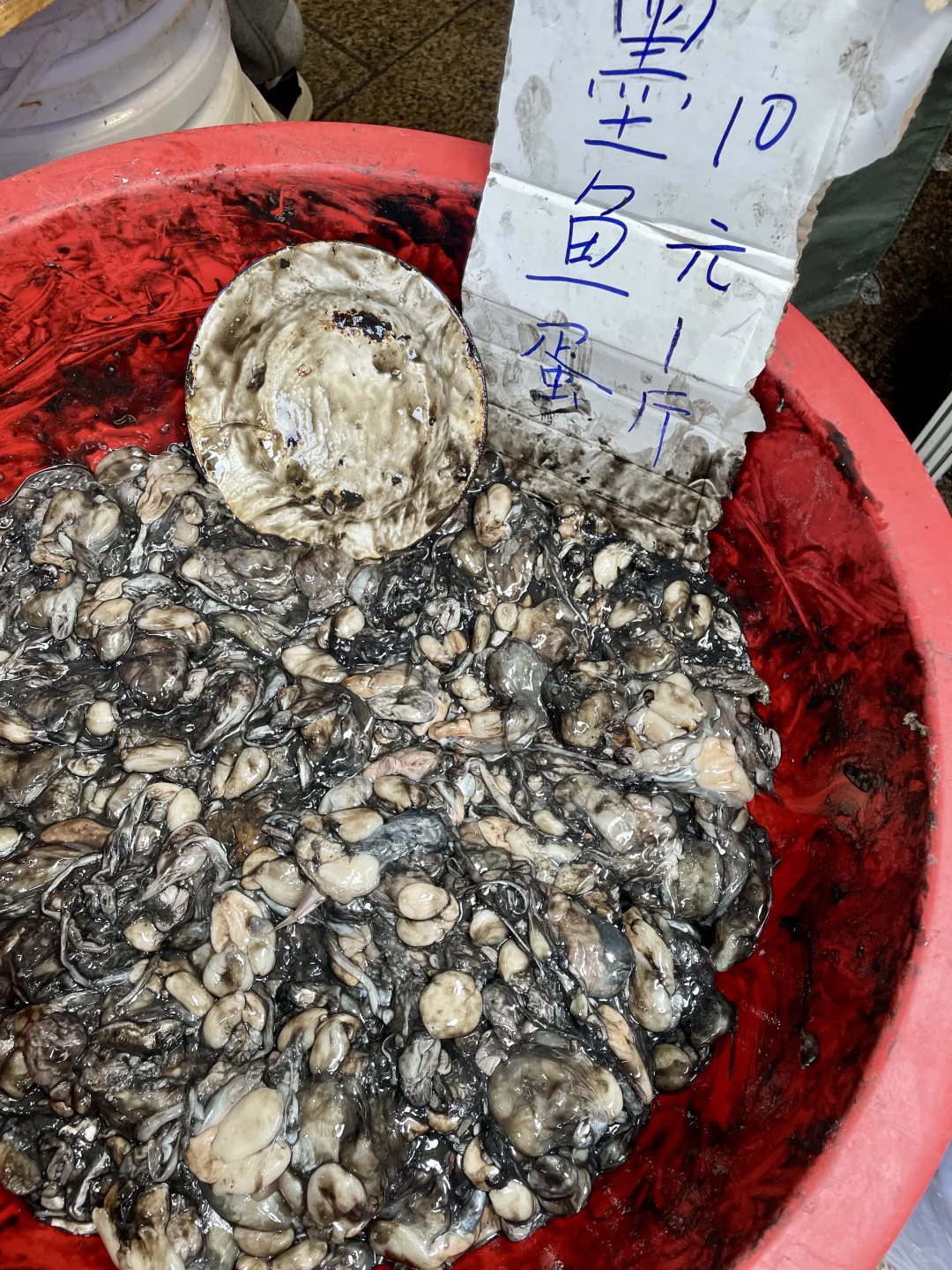 发现了藏乌梨甜的㊙️密❓❓