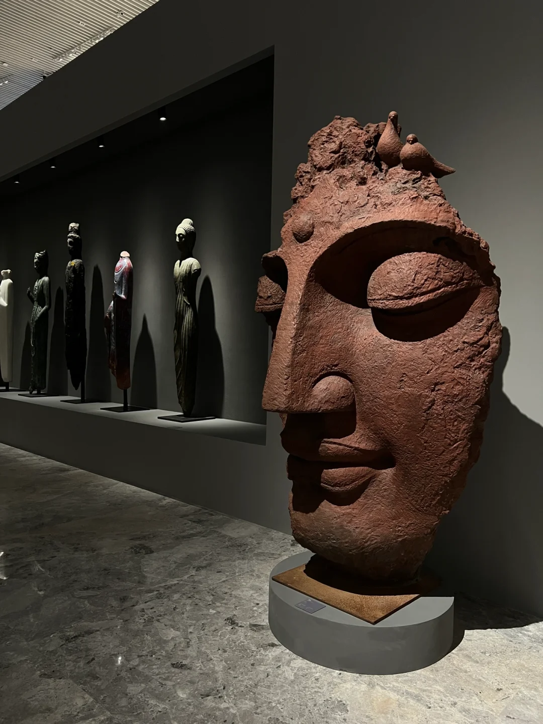 广州免费新展?一切都是生命，一切都有灵性