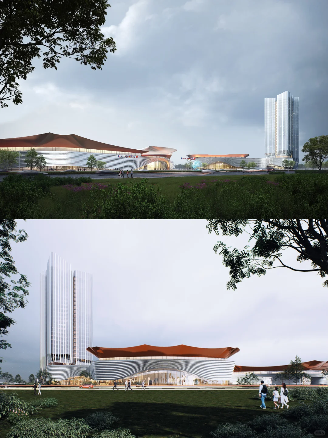 【中标】从来银杏不负秋,又是一年叶黄时！