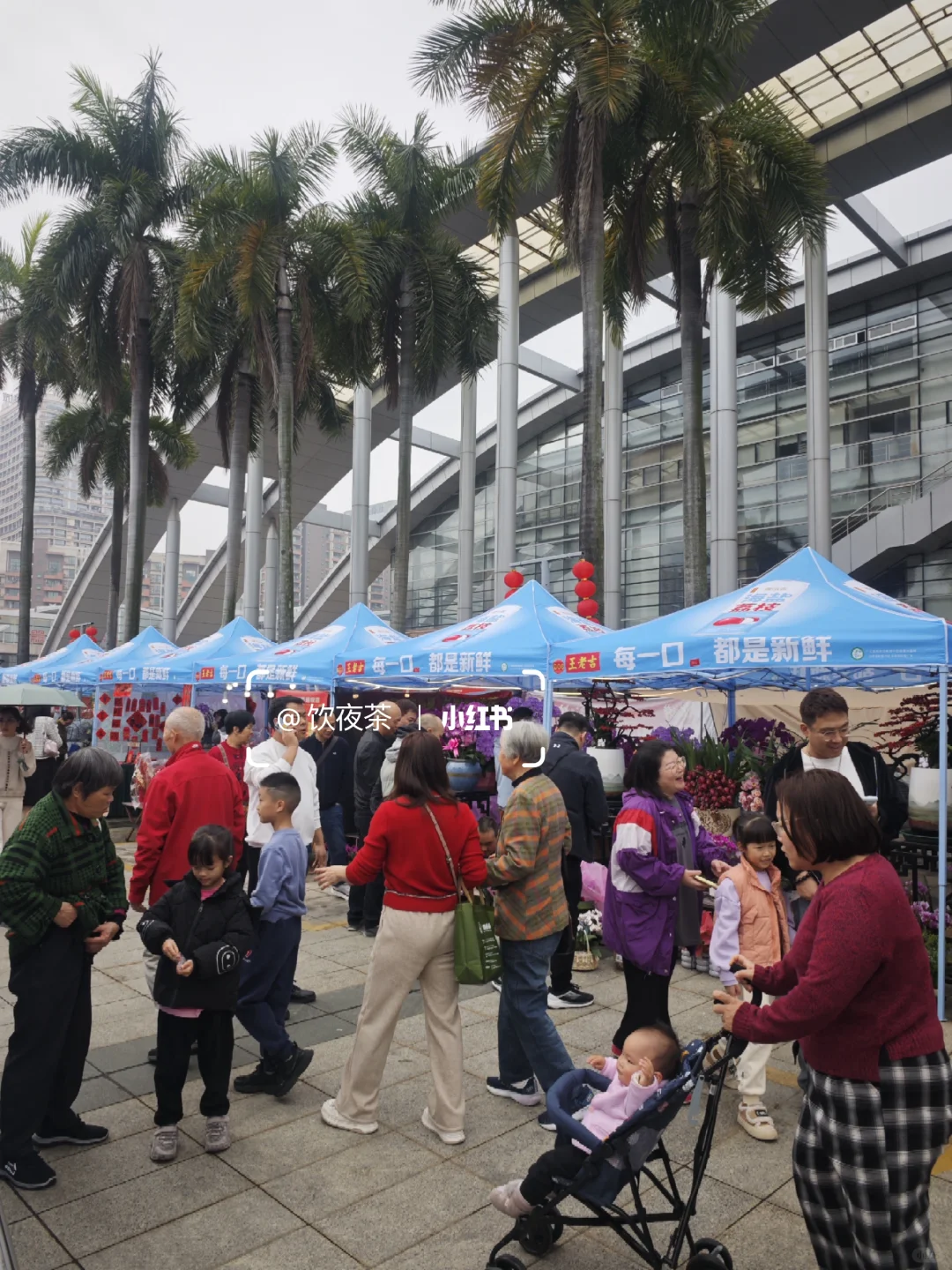 江门溜娃好去处｜华侨广场迎春花市