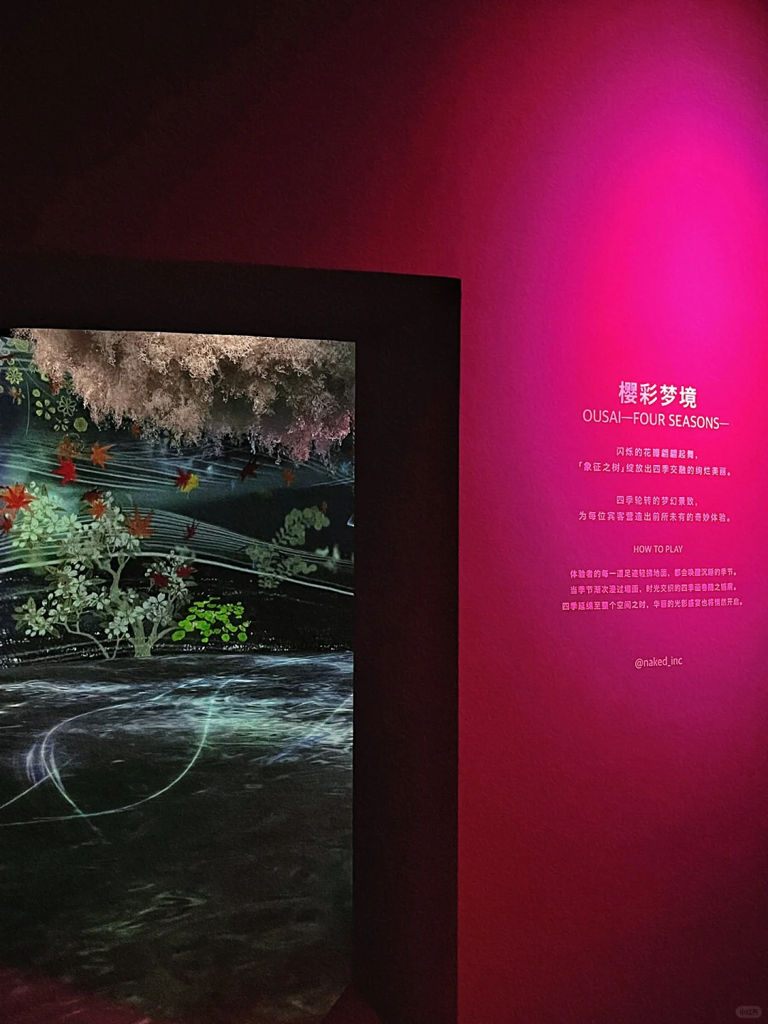 春节一定要去的北京展览！梦核光影（live太美