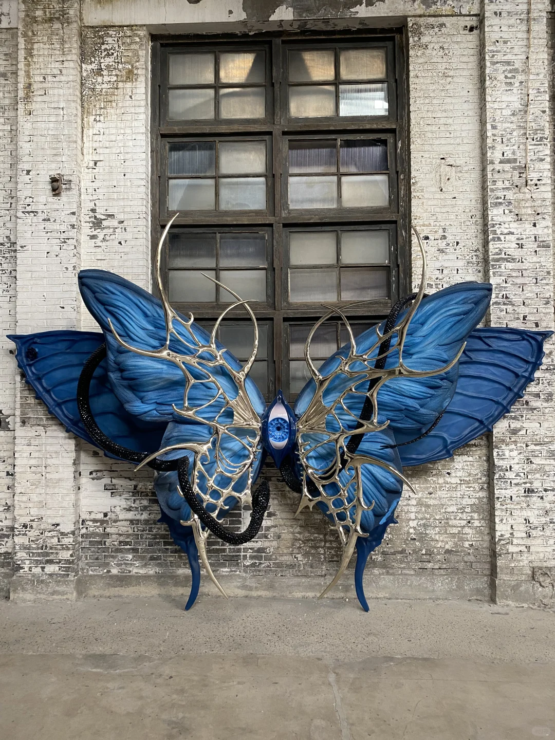 25年第一展｜《蝶中蝶》+《不止眼眸》