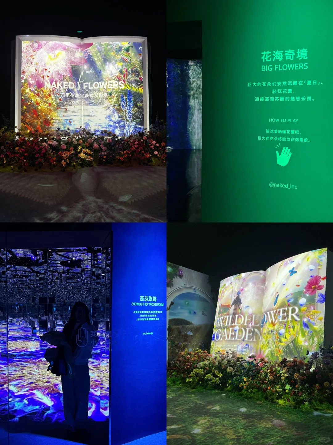 春节一定要去的北京展览！梦核光影（live太美