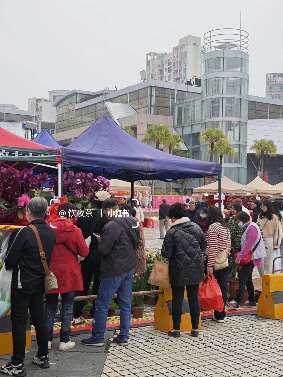 江门溜娃好去处｜华侨广场迎春花市