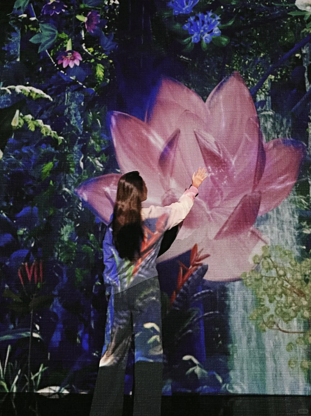 春节一定要去的北京展览！梦核光影（live太美