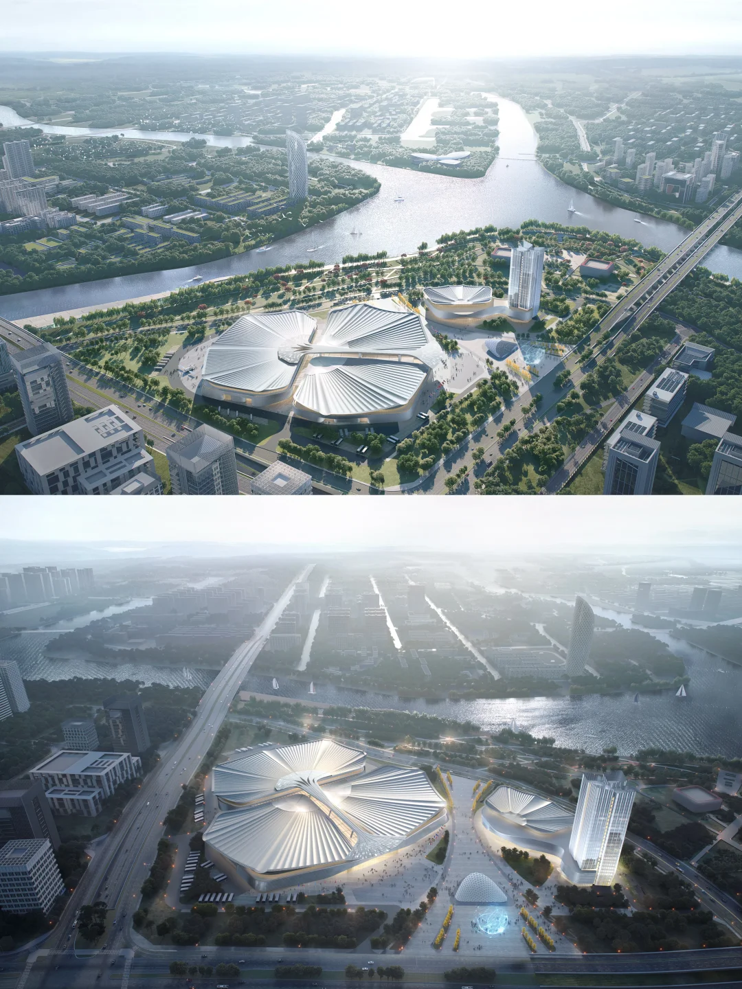 【中标】从来银杏不负秋,又是一年叶黄时！