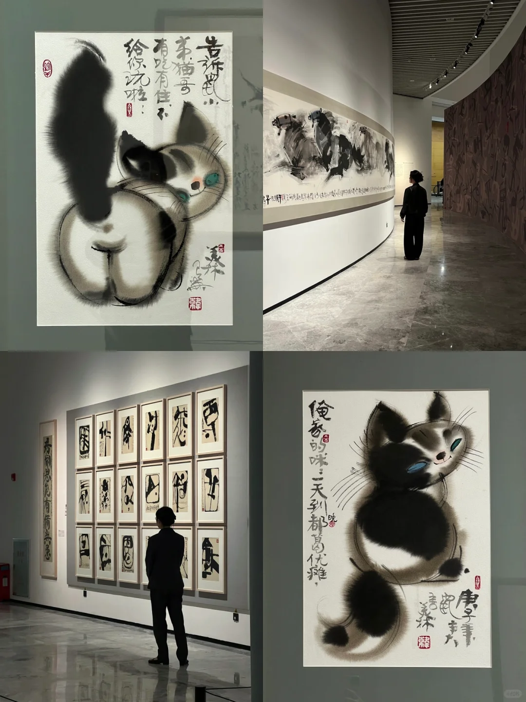 广州免费新展?一切都是生命，一切都有灵性