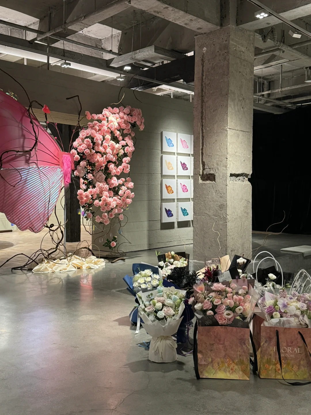 我的蝴蝶展来厦门啦！