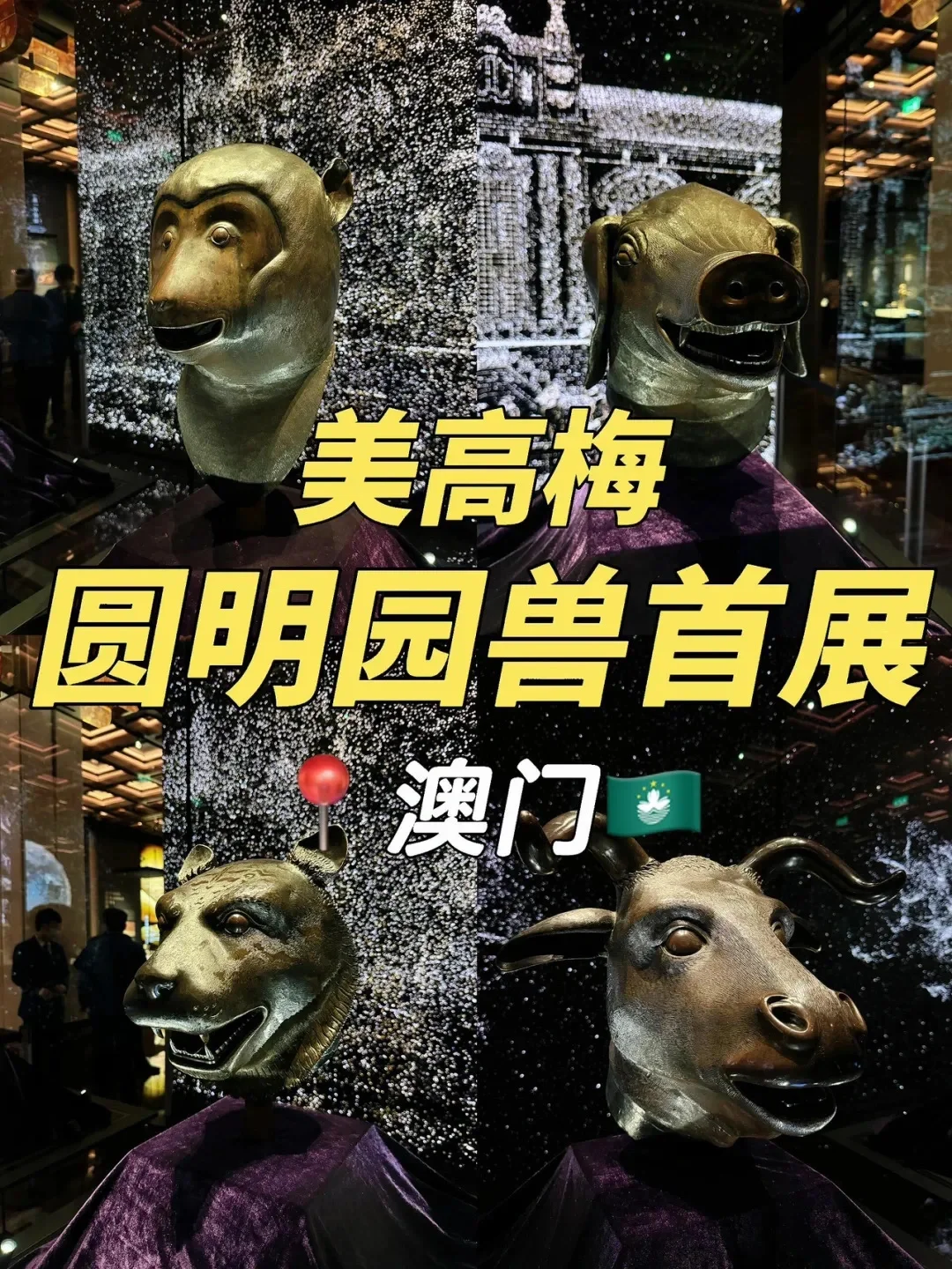 ?展览 |澳门01月展览合集