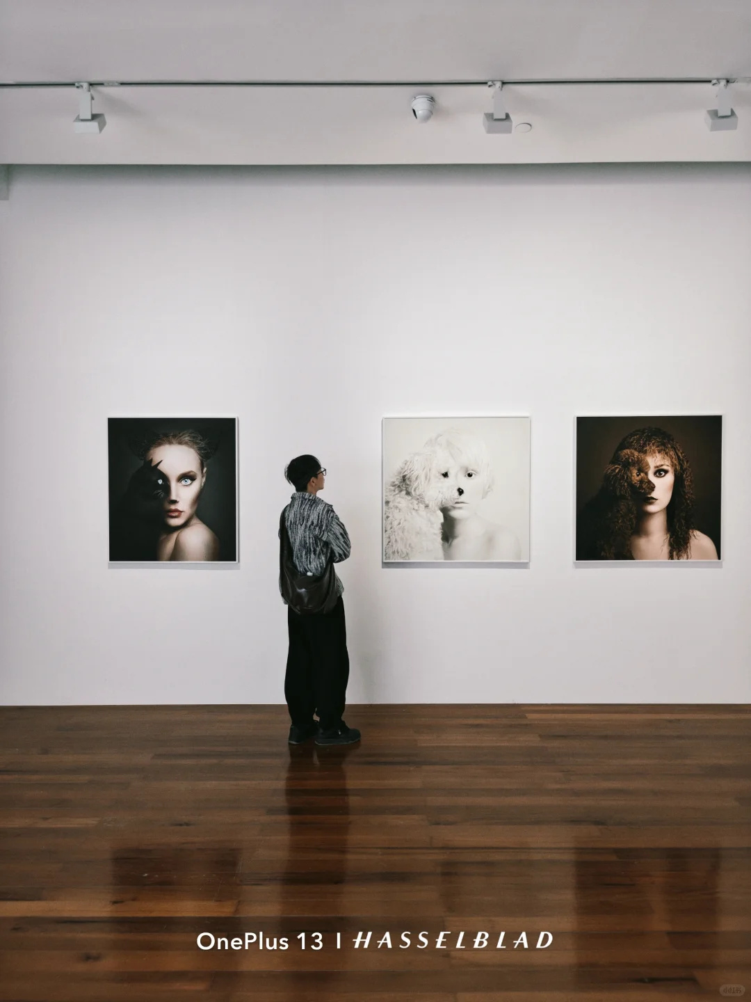 离开深圳前！最后再看个展！