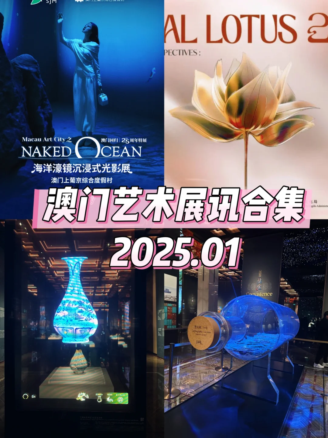 ?展览 |澳门01月展览合集