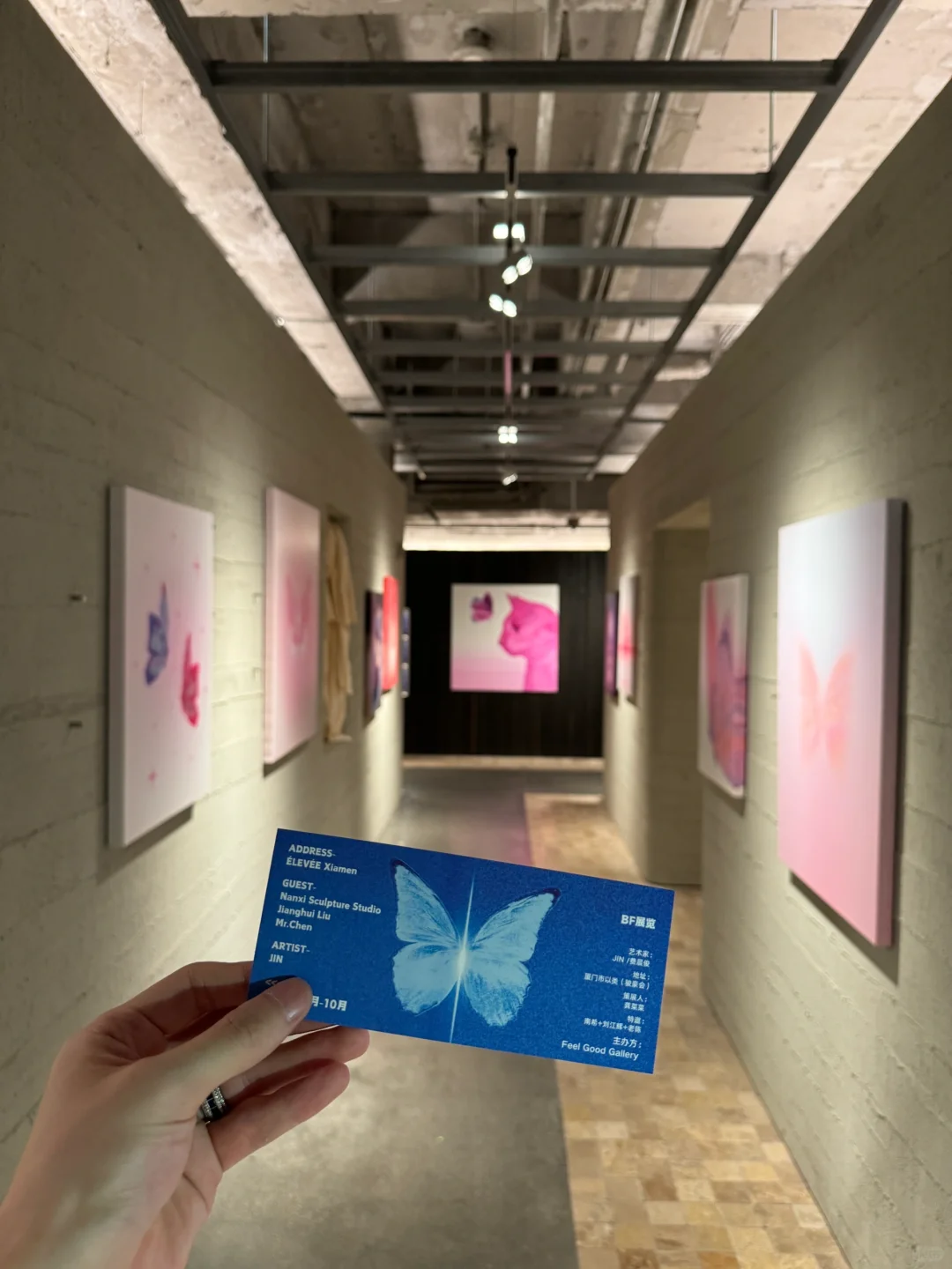 我的蝴蝶展来厦门啦！