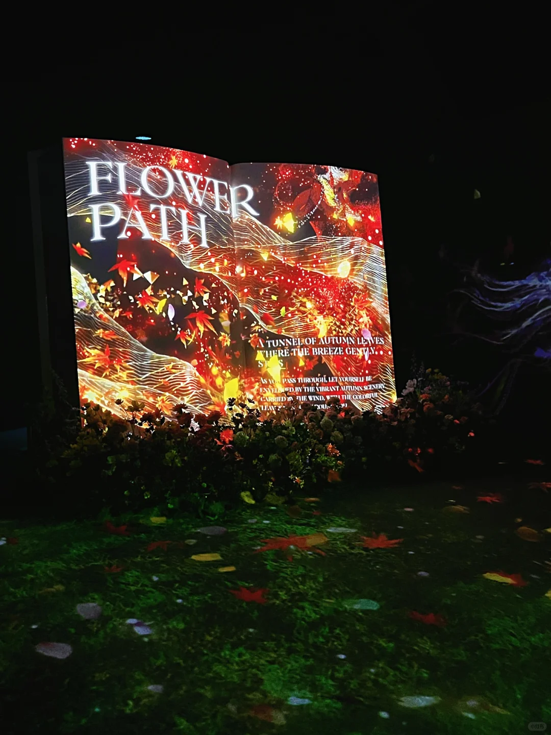 春节一定要去的北京展览！梦核光影（live太美