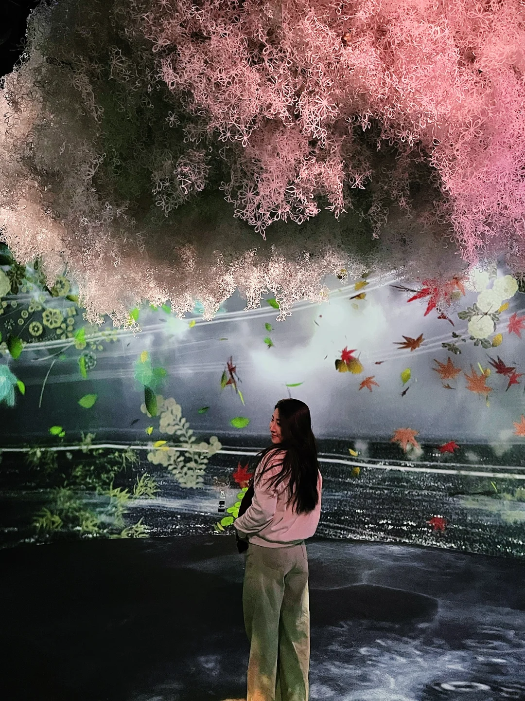 春节一定要去的北京展览！梦核光影（live太美