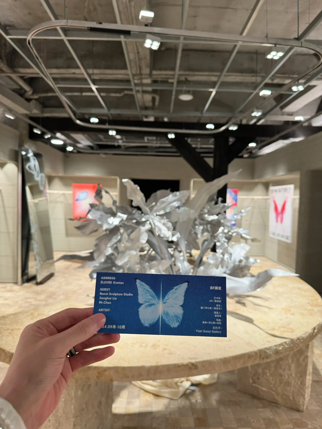 我的蝴蝶展来厦门啦！