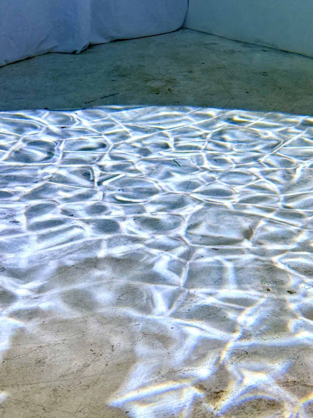 上海免费新展?超梦核?