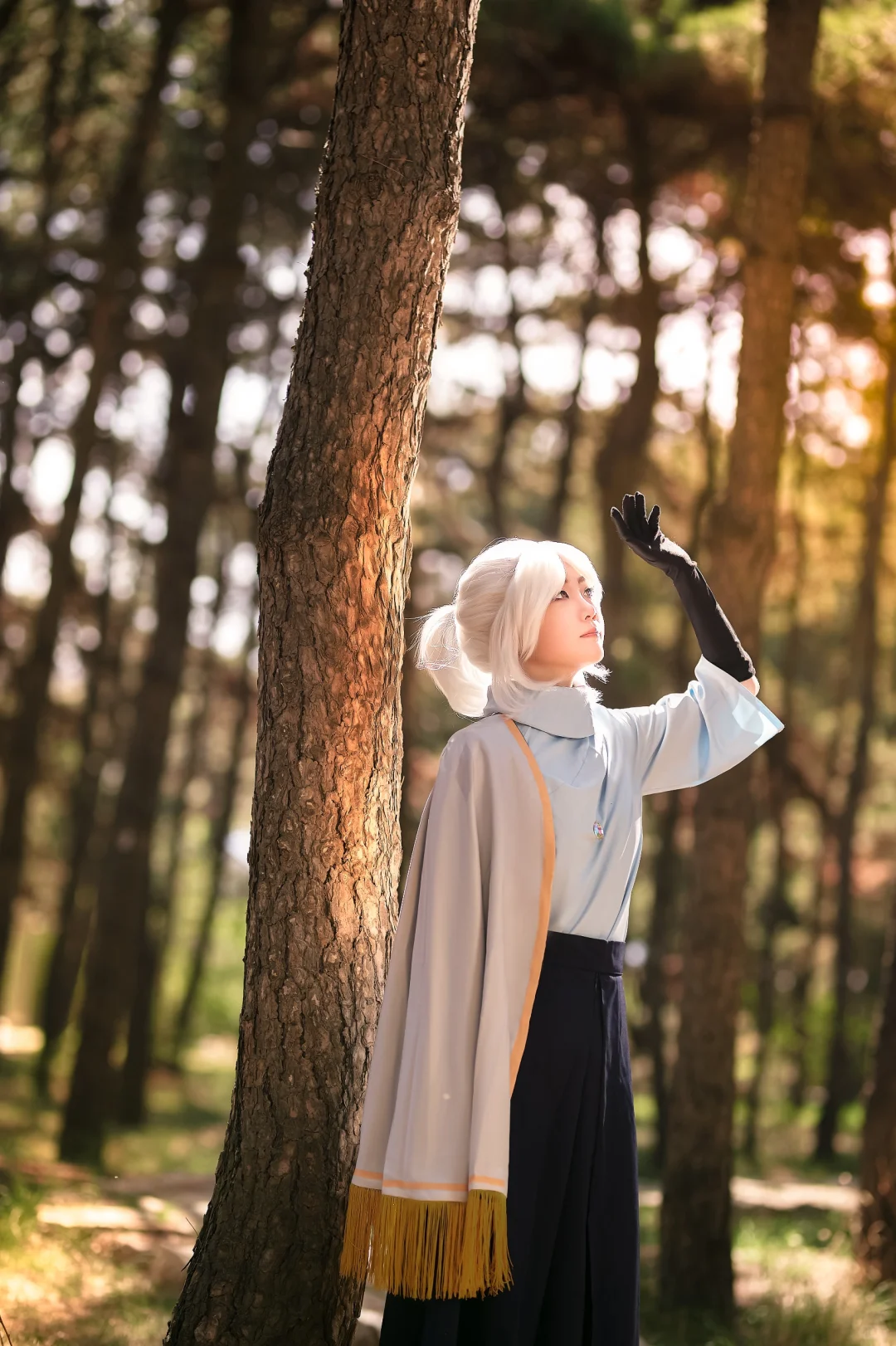 CAD 2025新春动漫游戏展