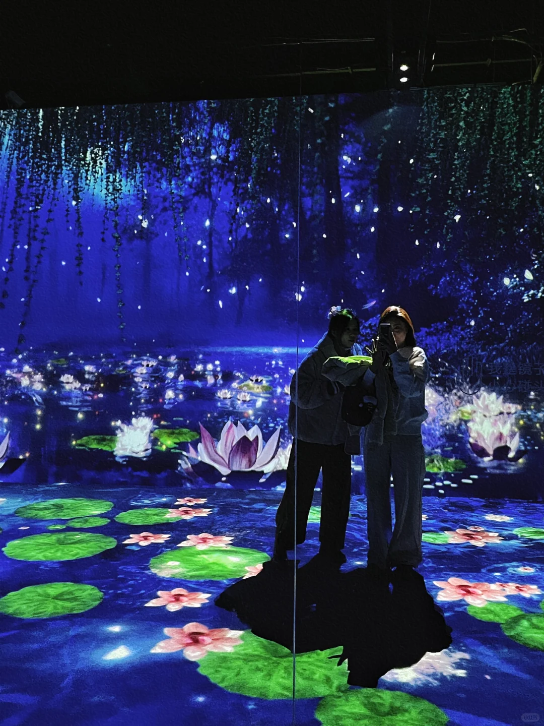 春节一定要去的北京展览！梦核光影（live太美