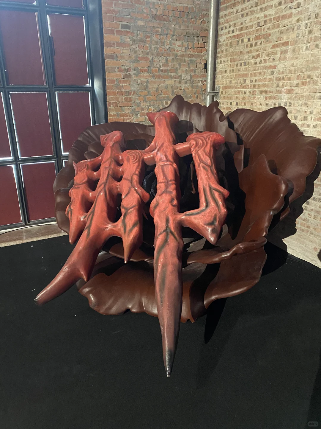 25年第一展｜《蝶中蝶》+《不止眼眸》