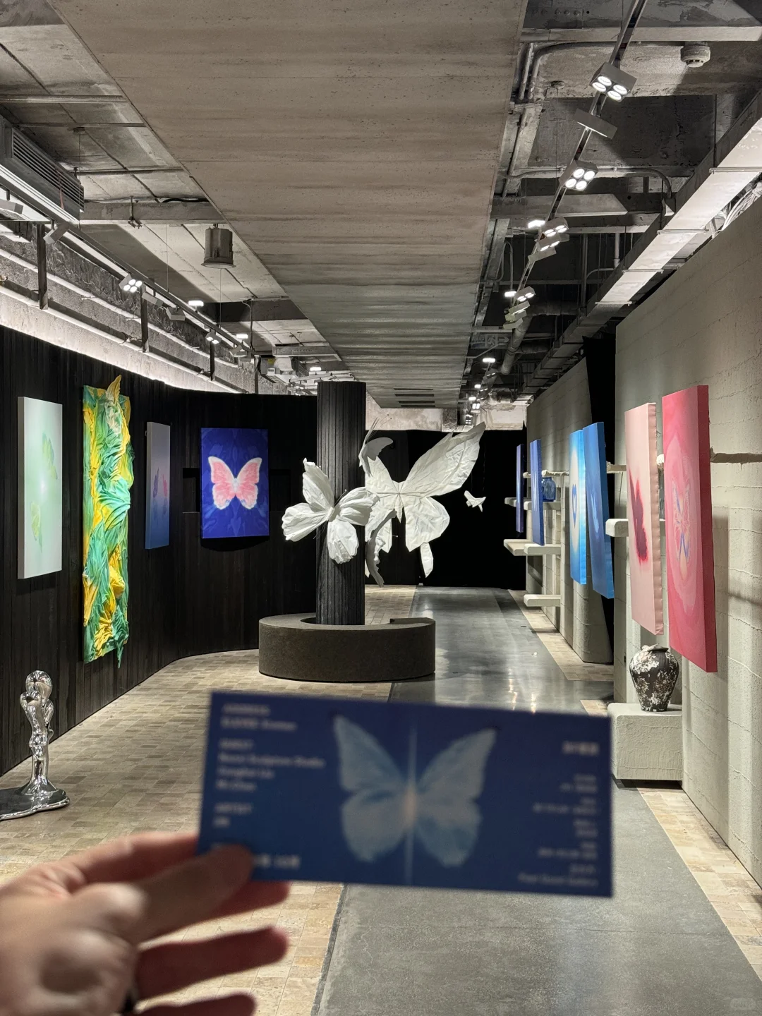 我的蝴蝶展来厦门啦！