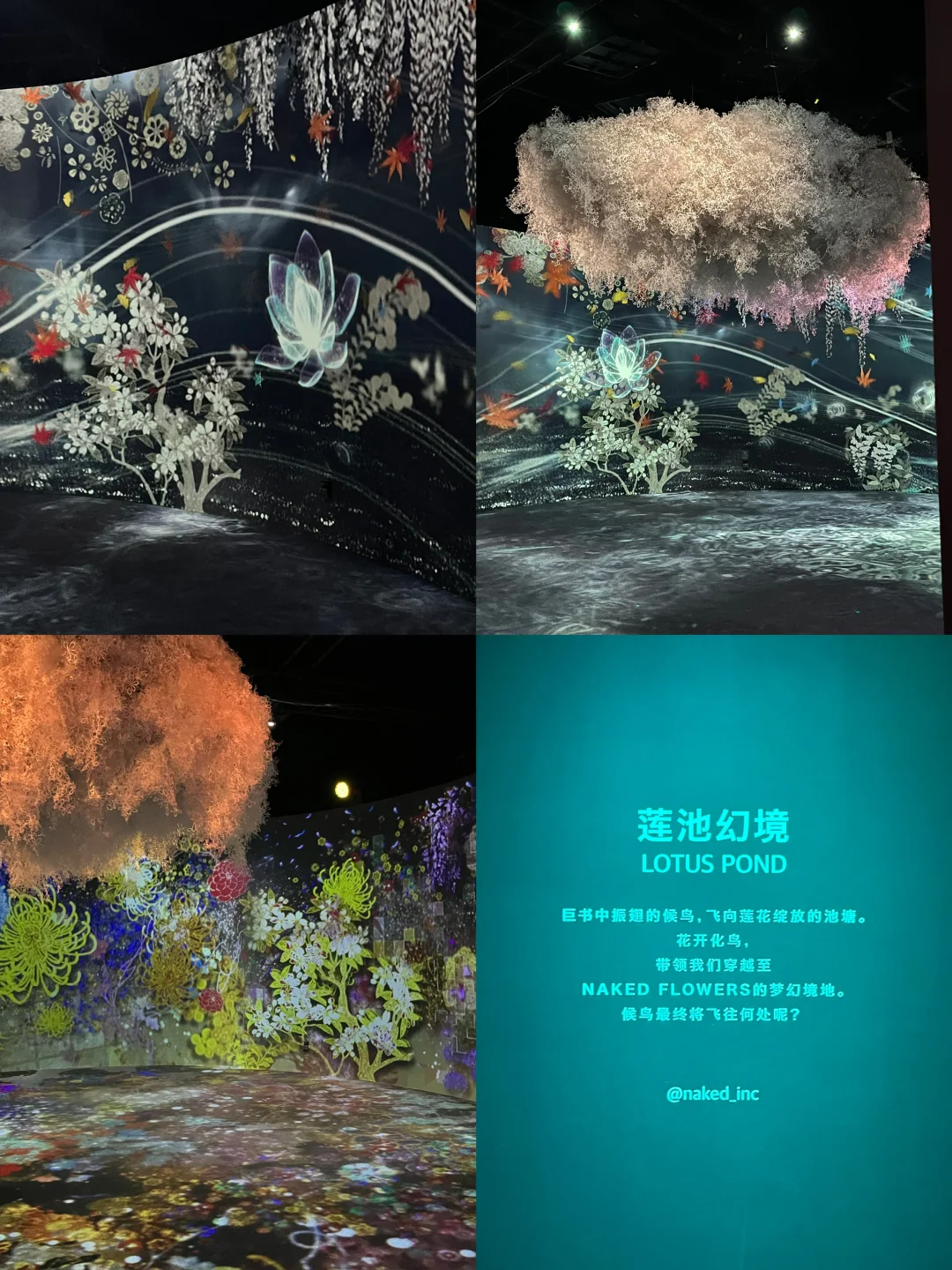 春节一定要去的北京展览！梦核光影（live太美