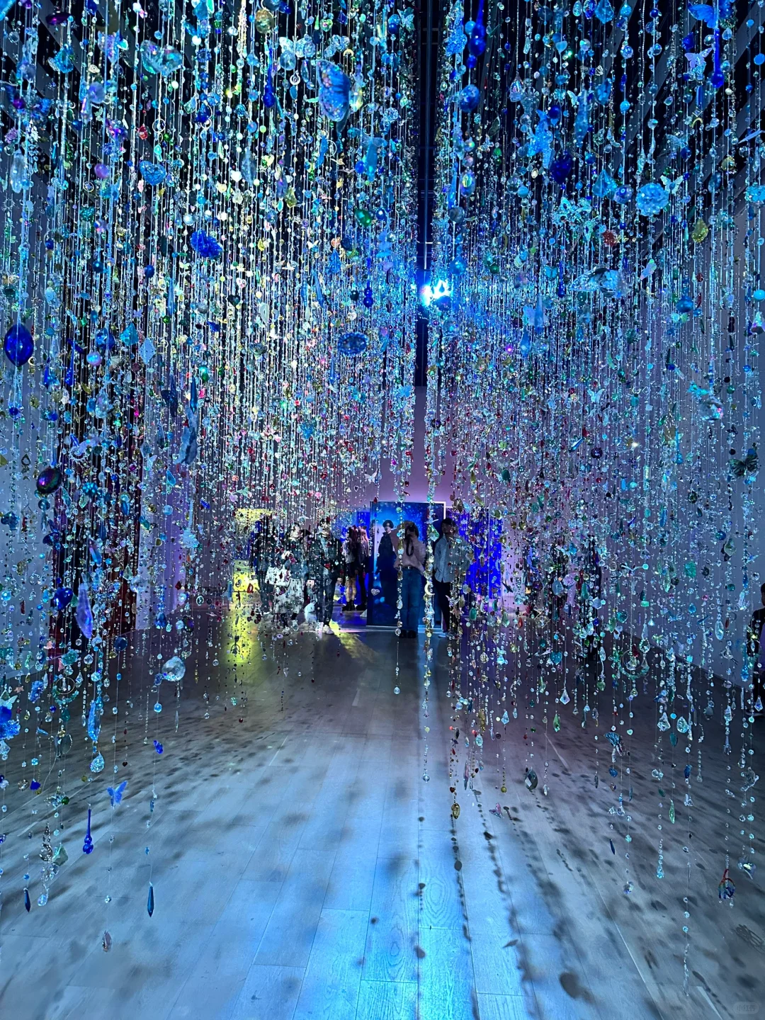 ??留子看展日记｜蜷川实花