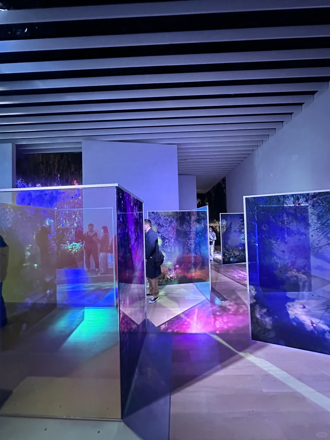 ??留子看展日记｜蜷川实花