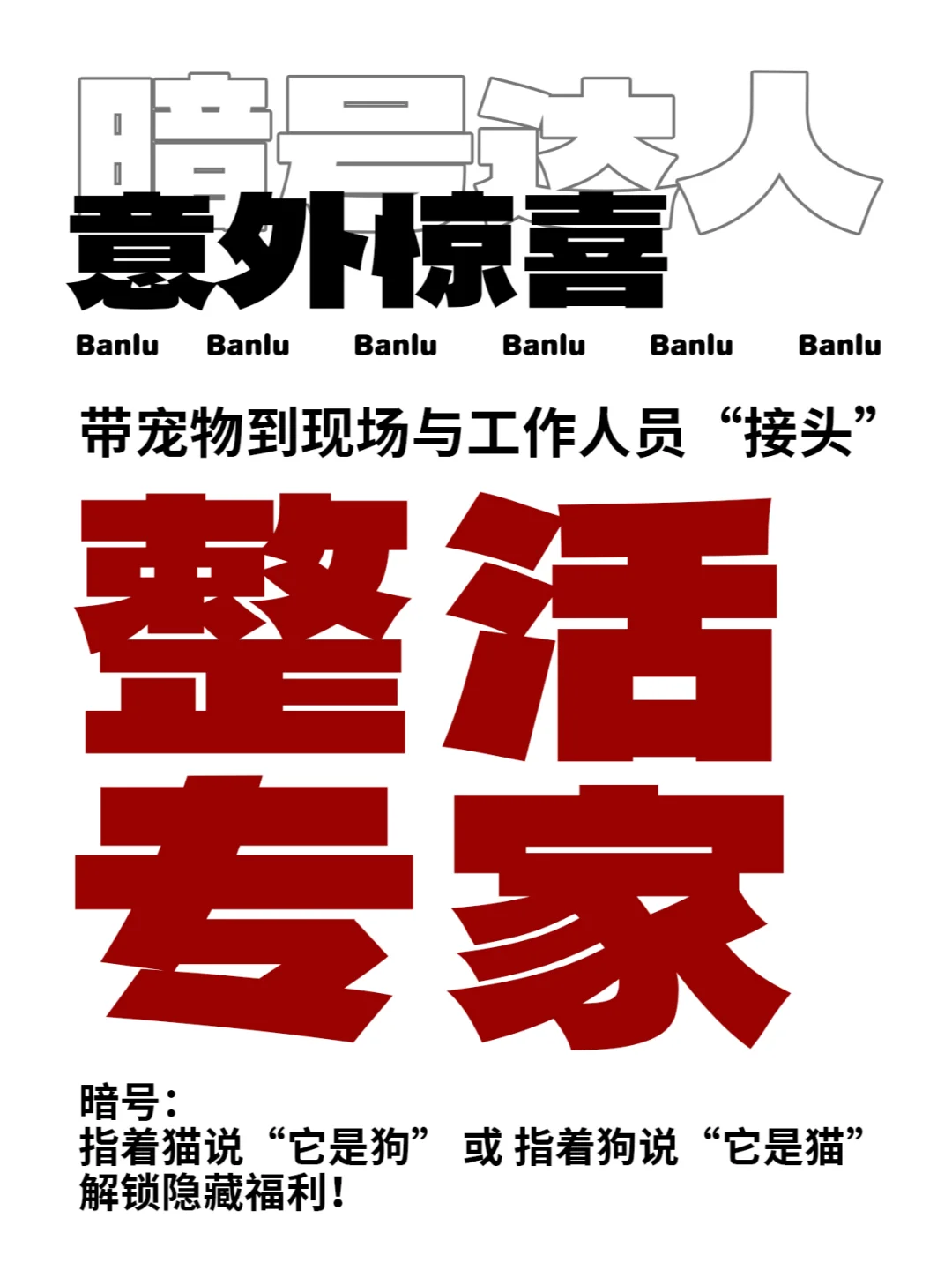 出发~北京！ 第12届北京国际宠物用品展览会