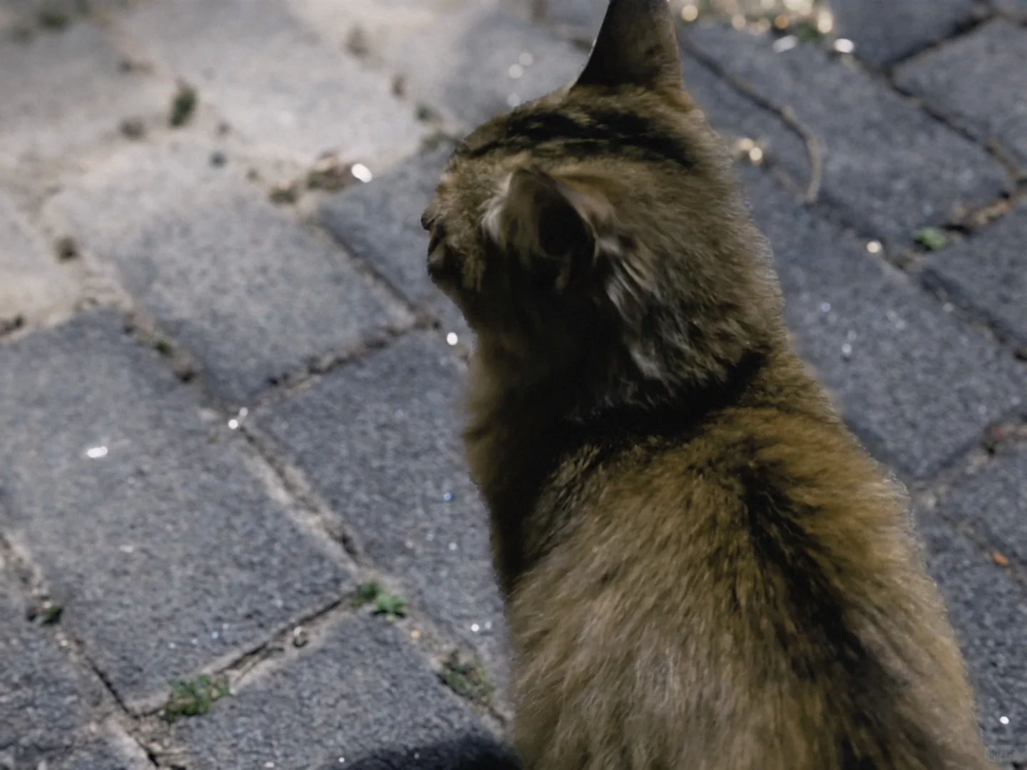 分享一些找客户的小窍门