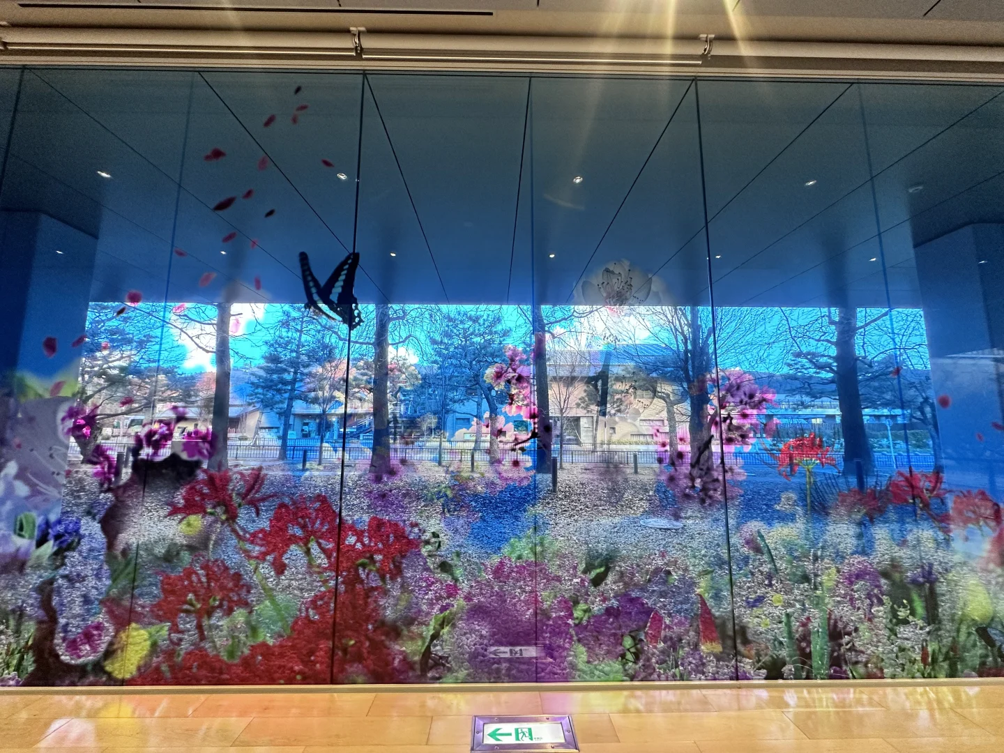 ??留子看展日记｜蜷川实花