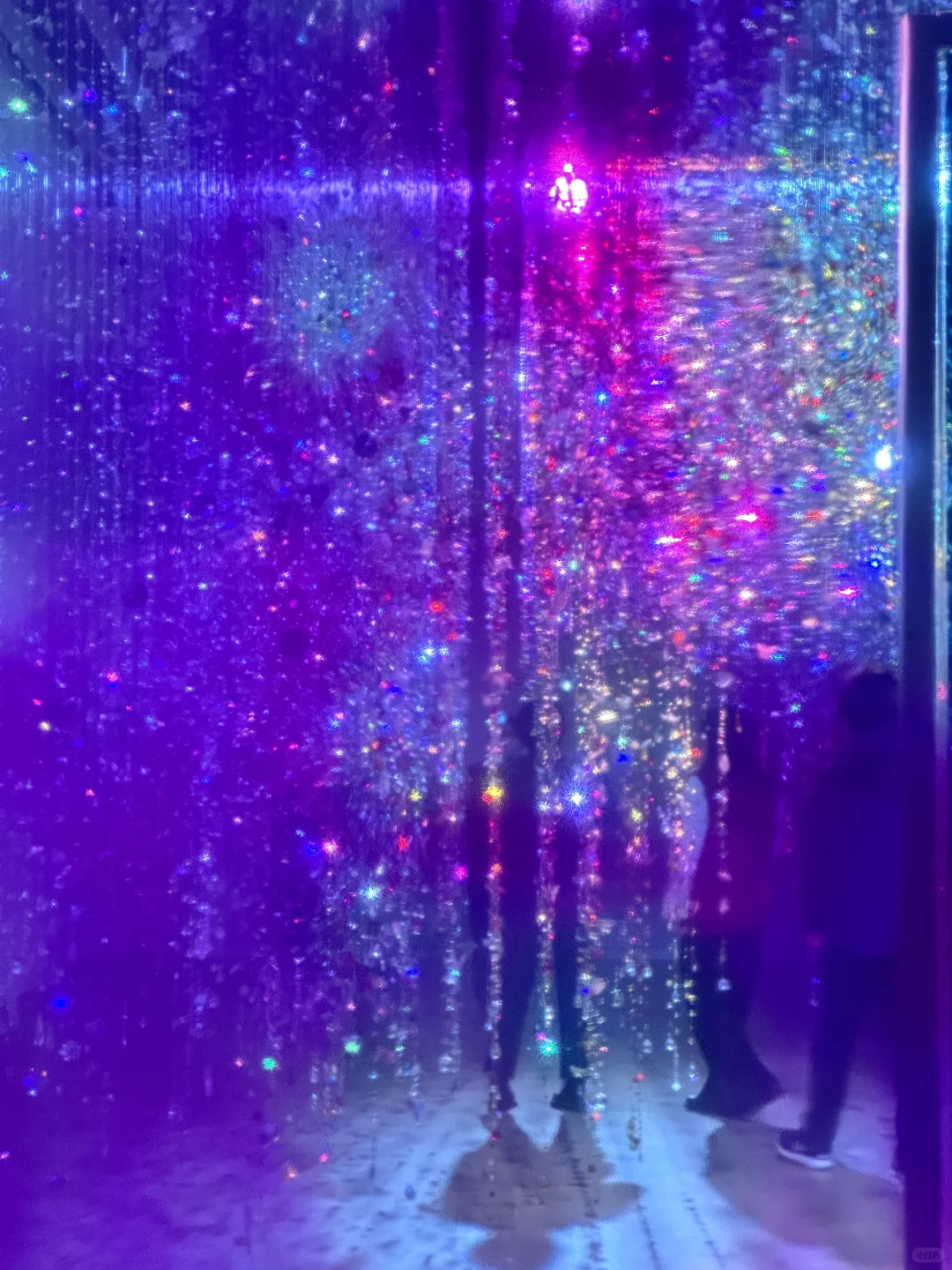 ??留子看展日记｜蜷川实花