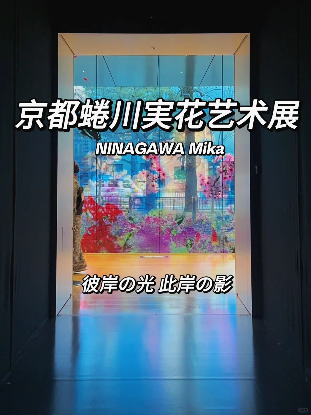 ??留子看展日记｜蜷川实花