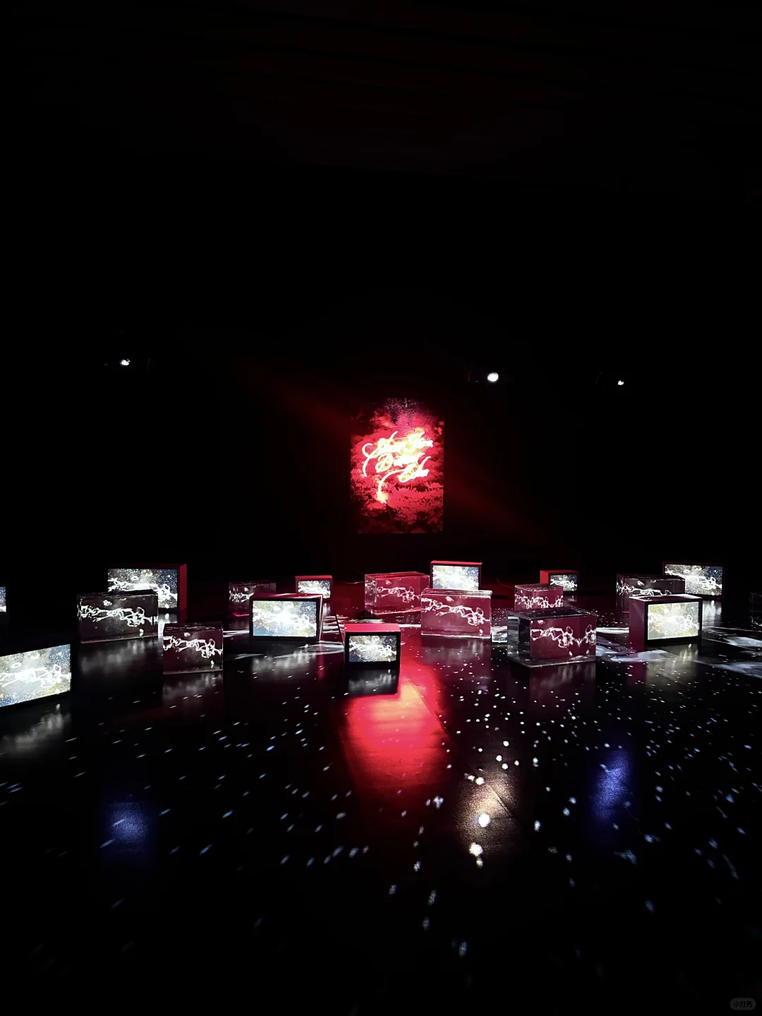 ??留子看展日记｜蜷川实花