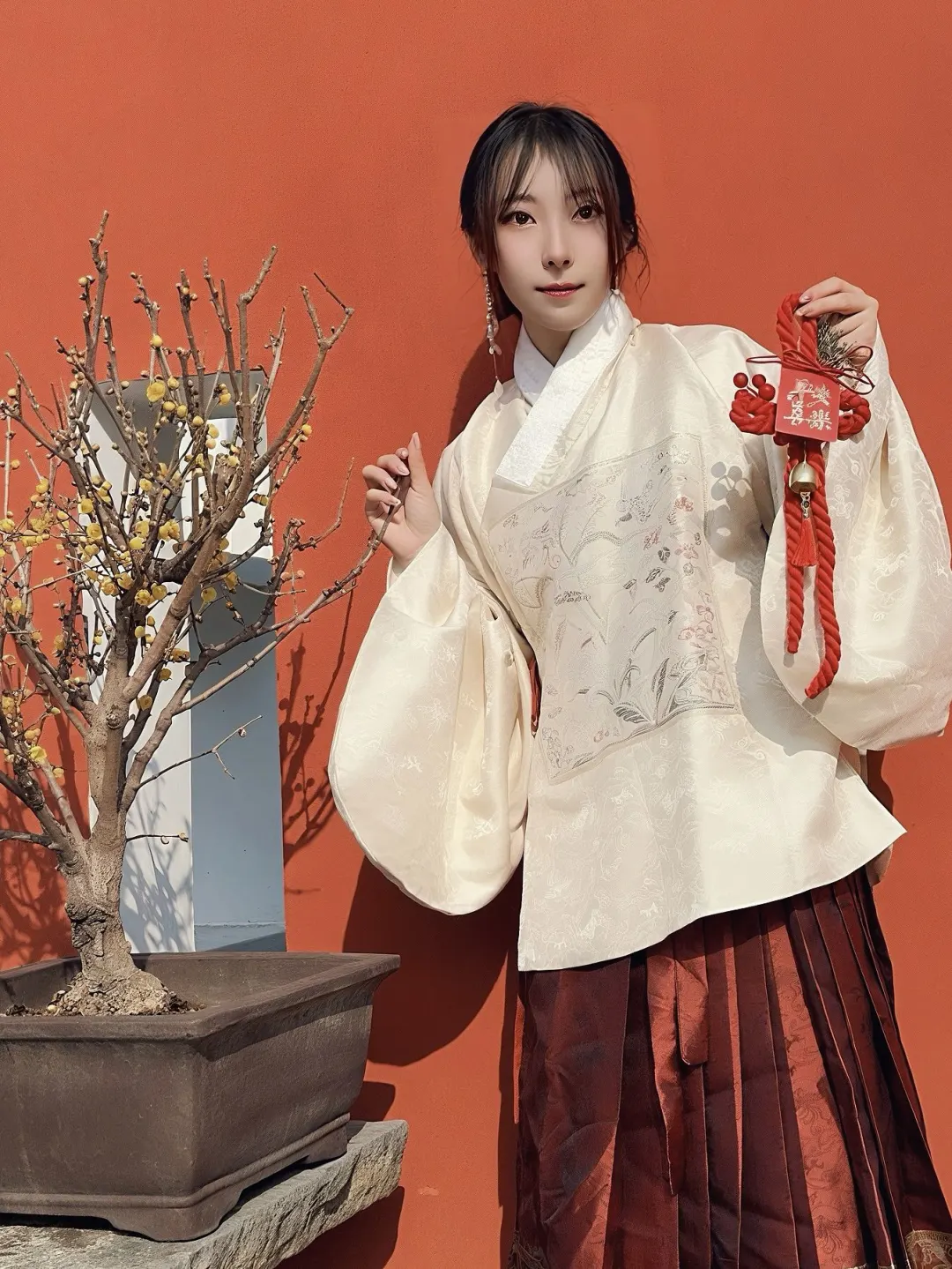 春节旅游第一站—无锡梅园